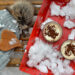 cups of cappuccino placed in  a red tray with snowand wooden heart on a hat - Forte maltempo, ma poi arriva una novità meteo inaspettata