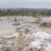 Beautiful winter landscape, hoarfrost on a swamp - Tendenza meteo per Natale: ultime proiezioni sorprendenti!