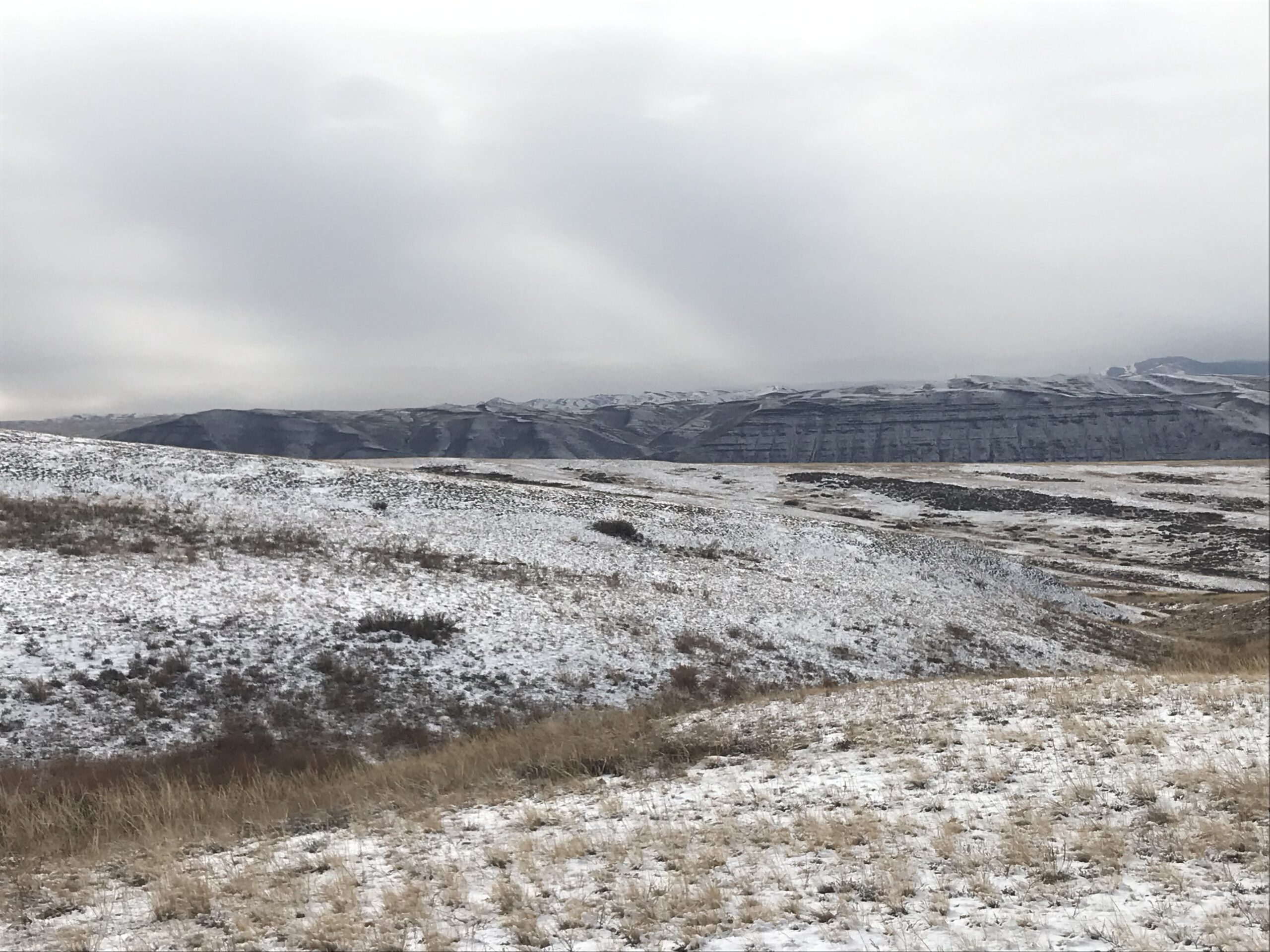 sorpresa-meteo-inaspettata:-neve-sulla-pianura-padana