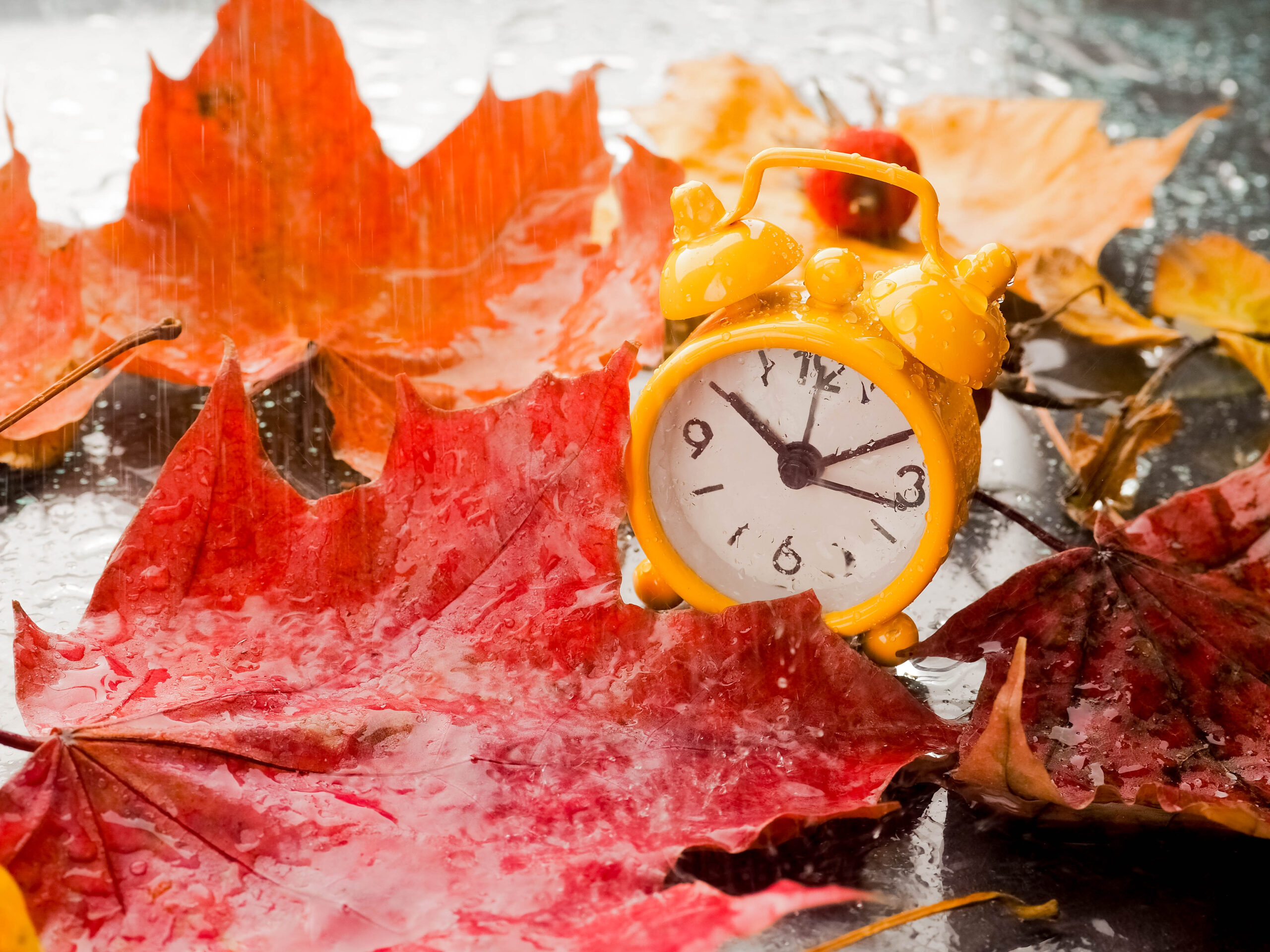 meteo-dicembre-folle,-non-era-cosi-da-tempo