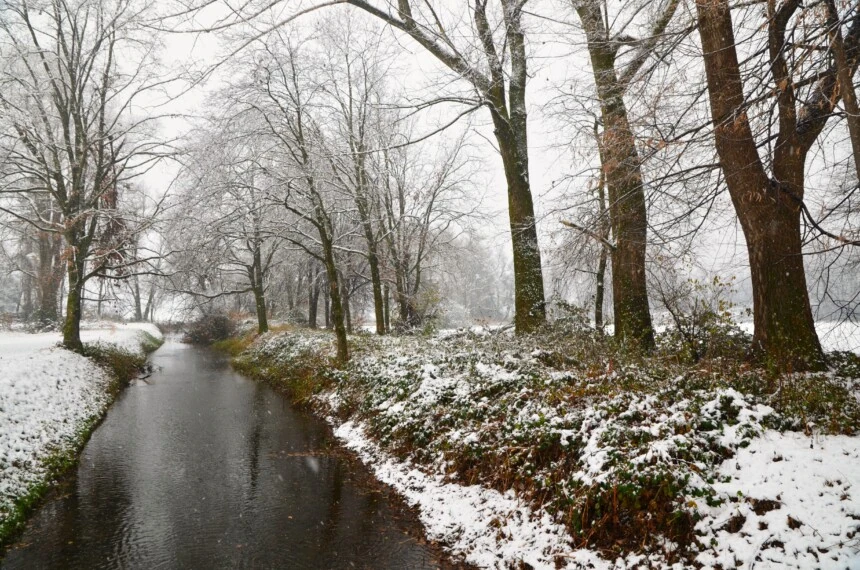 Beautiful stream going through the snow-covered grassy shore and trees - Maltempo al Nord per l'Epifania