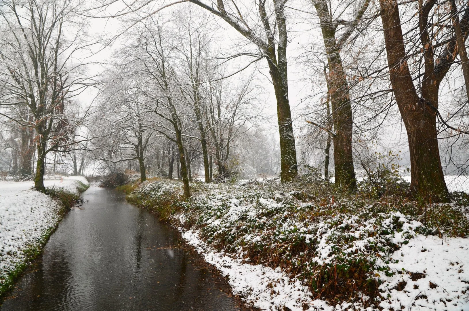 Beautiful stream going through the snow-covered grassy shore and trees - Maltempo al Nord per l'Epifania