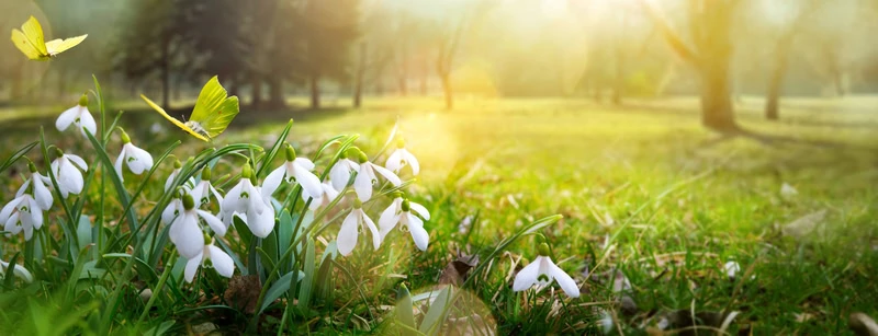 dreamstime_s_110859849 - Meteo: ecco l’anticiclone che si mangia l'inverno. Vediamo dove