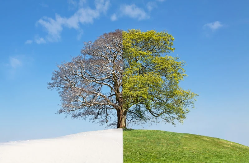 dreamstime_s_23446707 - Importanti novità: nessuna svolta meteo verso una primavera anticipata?