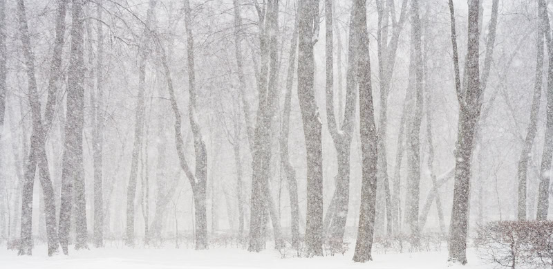 dreamstime_s_3422694 - Meteo: il gelo vuole dominare, lotta aperta con l’anticiclone