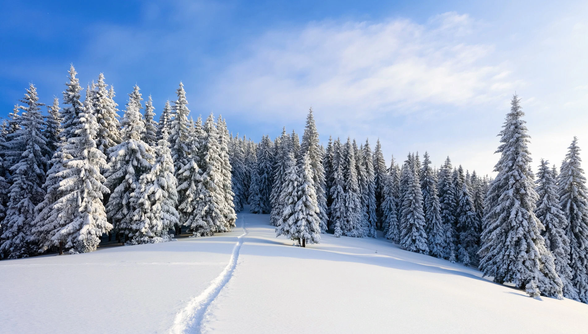 dreamstime_xxl_108808354 - Meteo di metà gennaio: l'inverno si concede una pausa, ma il freddo tornerà con forza