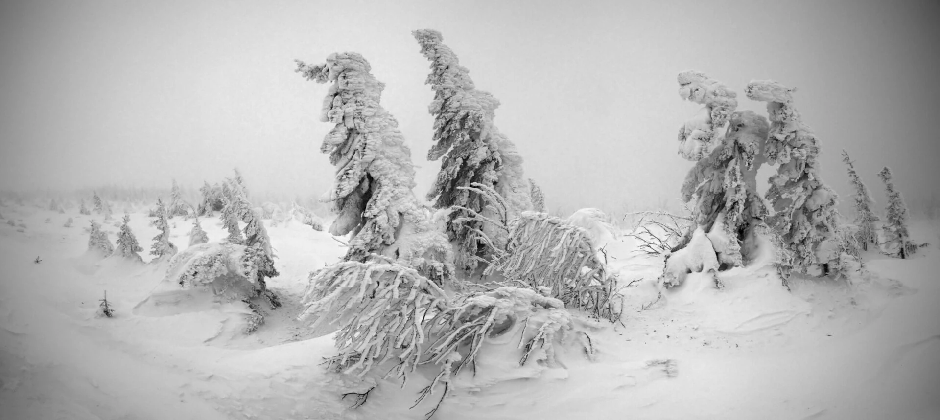 dreamstime_xxl_12902844 - Sardegna, quando si ammantò di neve come la Groenlandia