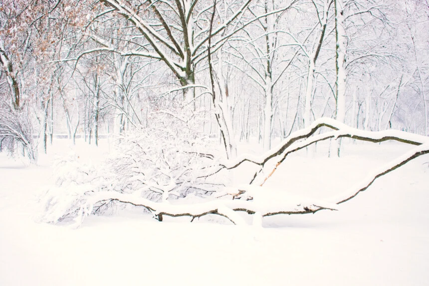 dreamstime_xxl_135630082 - Meteo Italia: inverno diviso tra Nord gelido e stabile e Sud colpito da maltempo e neve