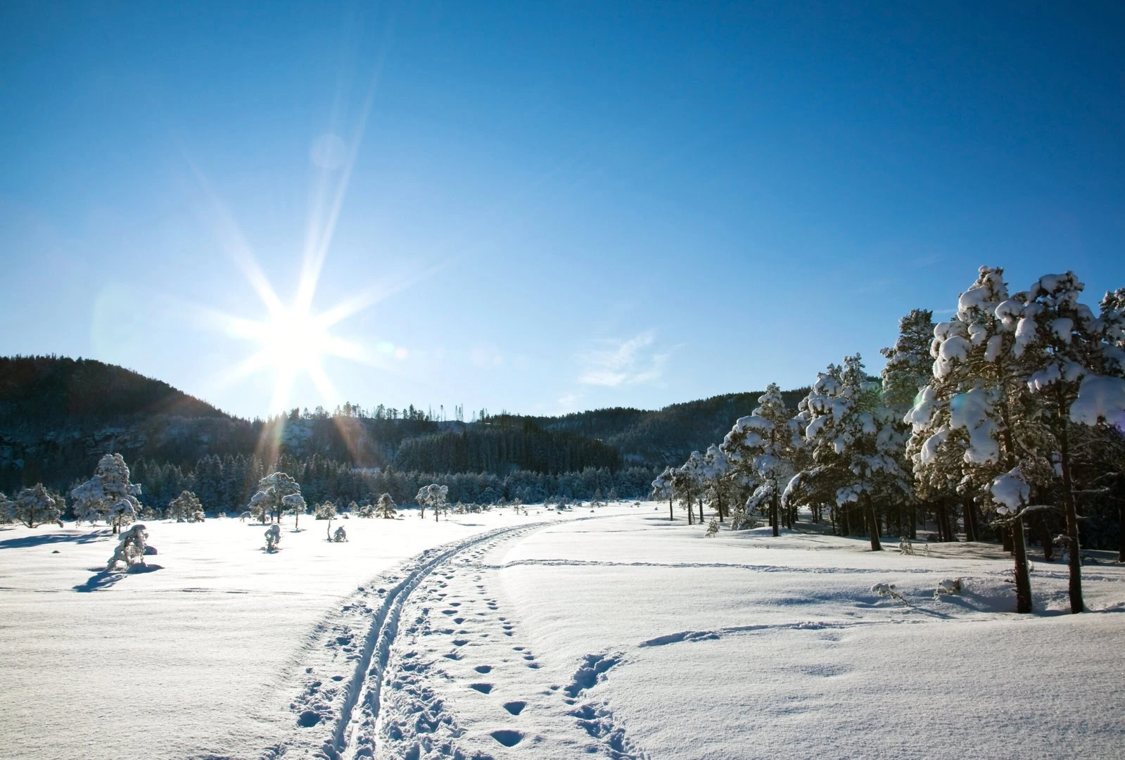 dreamstime_xxl_16530255 (1) - Meteo marzo: freddo, instabilità e possibili sorprese per l’Italia