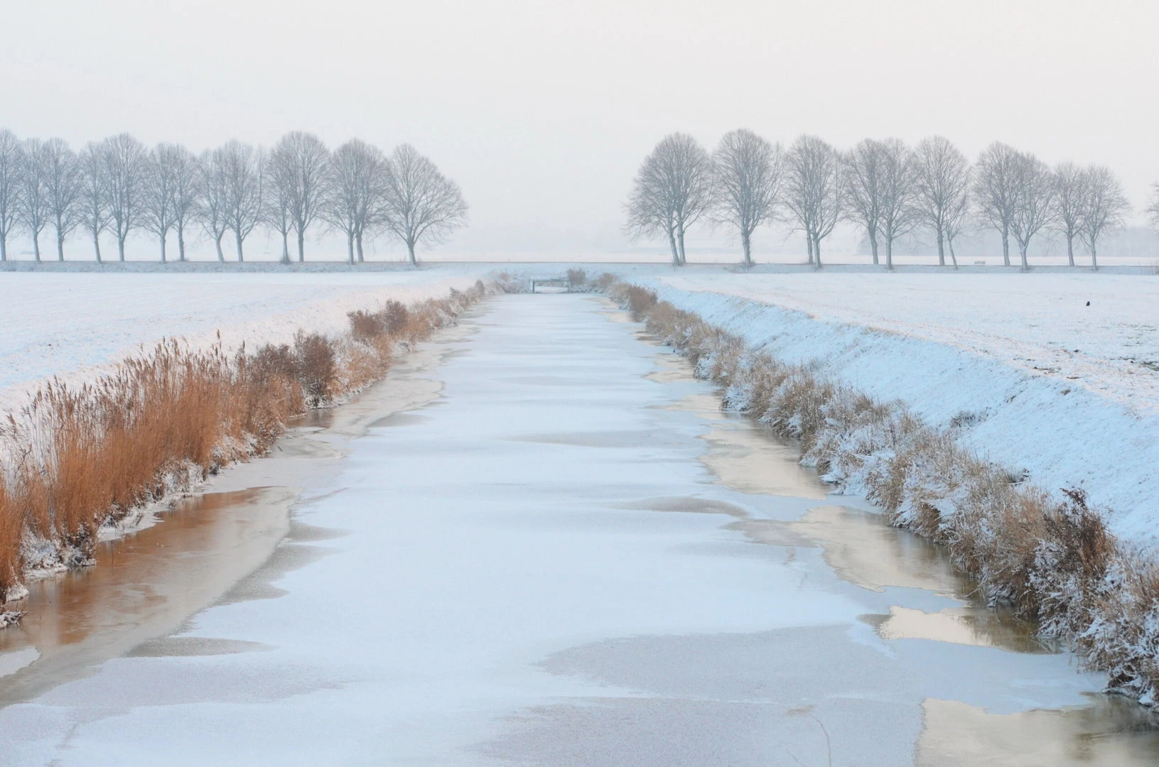 dreamstime_xxl_17506014 - Meteo marzo 2025: possibile ritorno del freddo e scenari invernali prolungati