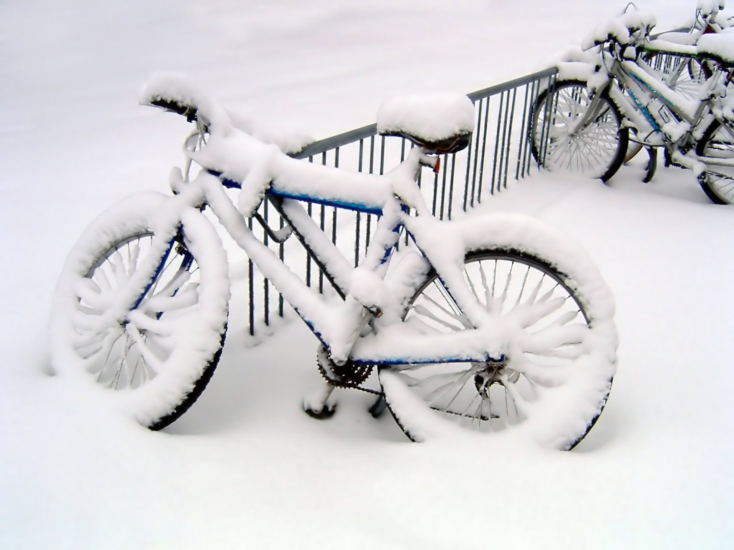 dreamstime_xxl_295775 - Palate di neve su Centrosud Appennino: meteo invernale