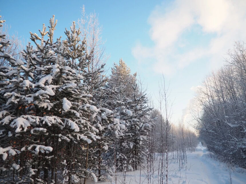 dreamstime_xxl_302387388 - Neve a bassa quota nel fine settimana, le Regioni coinvolte