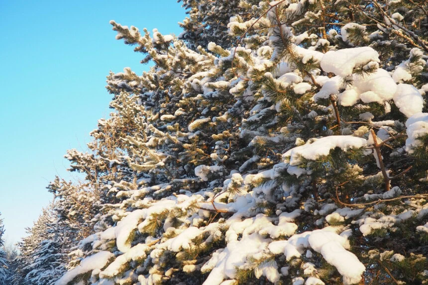 dreamstime_xxl_302387778 - Meteo gennaio: scontro tra vortice polare e gelo, l’inverno potrebbe riservare sorprese nell’ultima decade