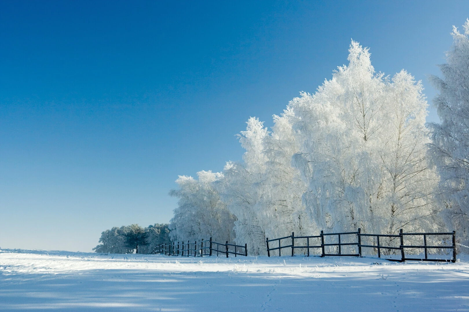 dreamstime_xxl_3953980 - Meteo febbraio 2025: il gelo siberiano porta freddo intenso e nevicate spettacolari in Italia