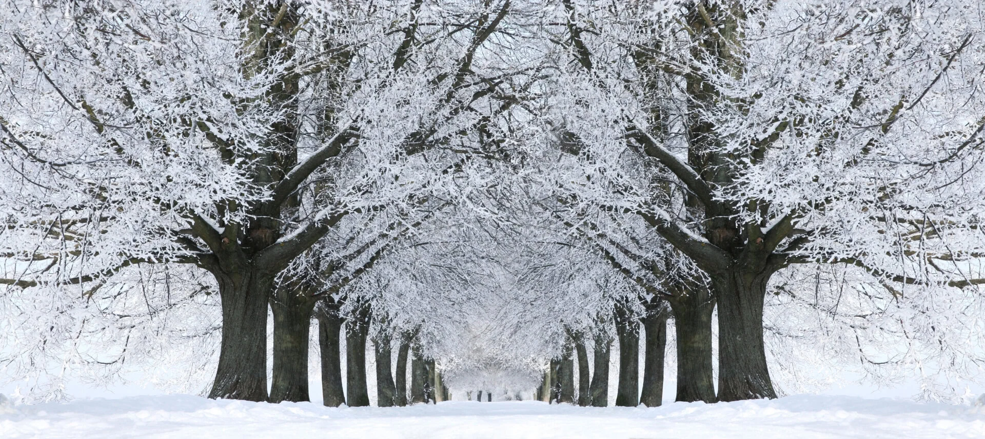 dreamstime_xxl_544178 - Meteo: neve a BASSA QUOTA, Val Padana nel mirino