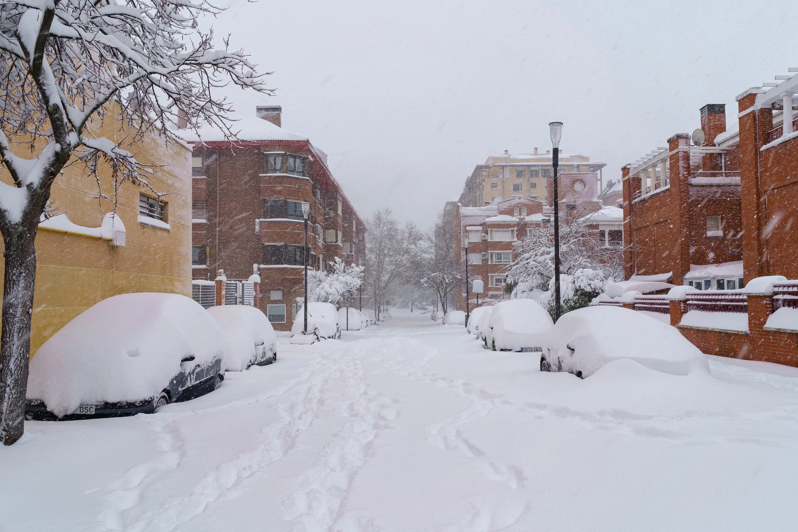 shutterstock_1893894193 - Meteo, la TEMPESTA di NEVE su Palermo del 8-9 Gennaio 1981