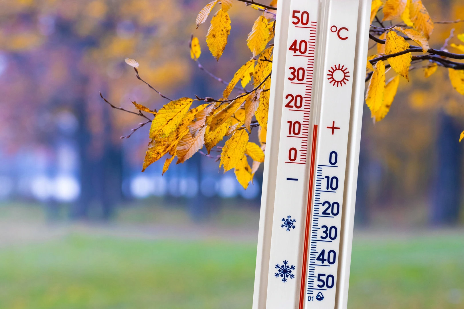 The thermometer on the background of the autumn forest shows 15 - Meteo: mite all’improvviso, Befana che combini?