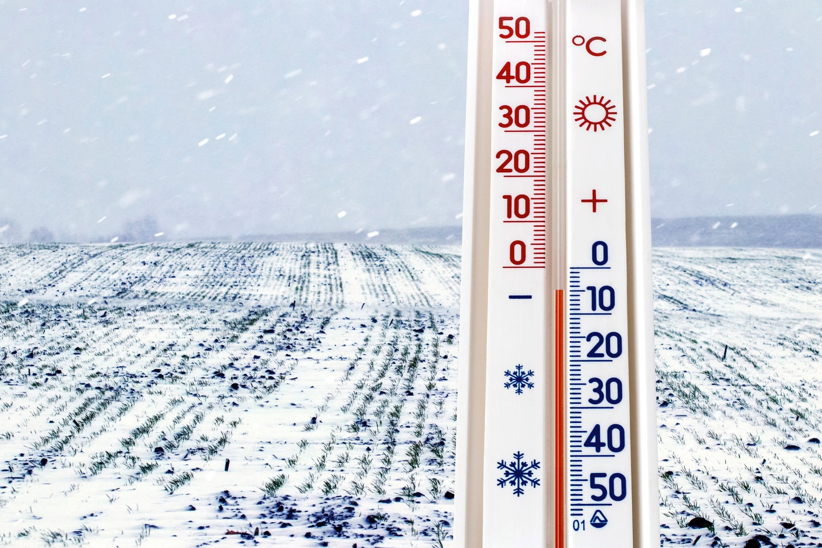 The thermometer on the background of the field during the snowfa - Meteo di metà gennaio: l'inverno si concede una pausa, ma il freddo tornerà con forza